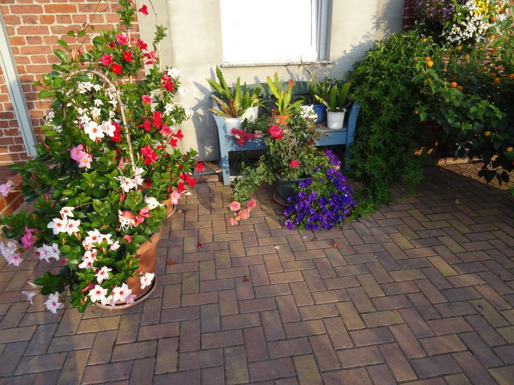 Ferienwohnungen Amselweg Brandenburg  Bagian luar foto