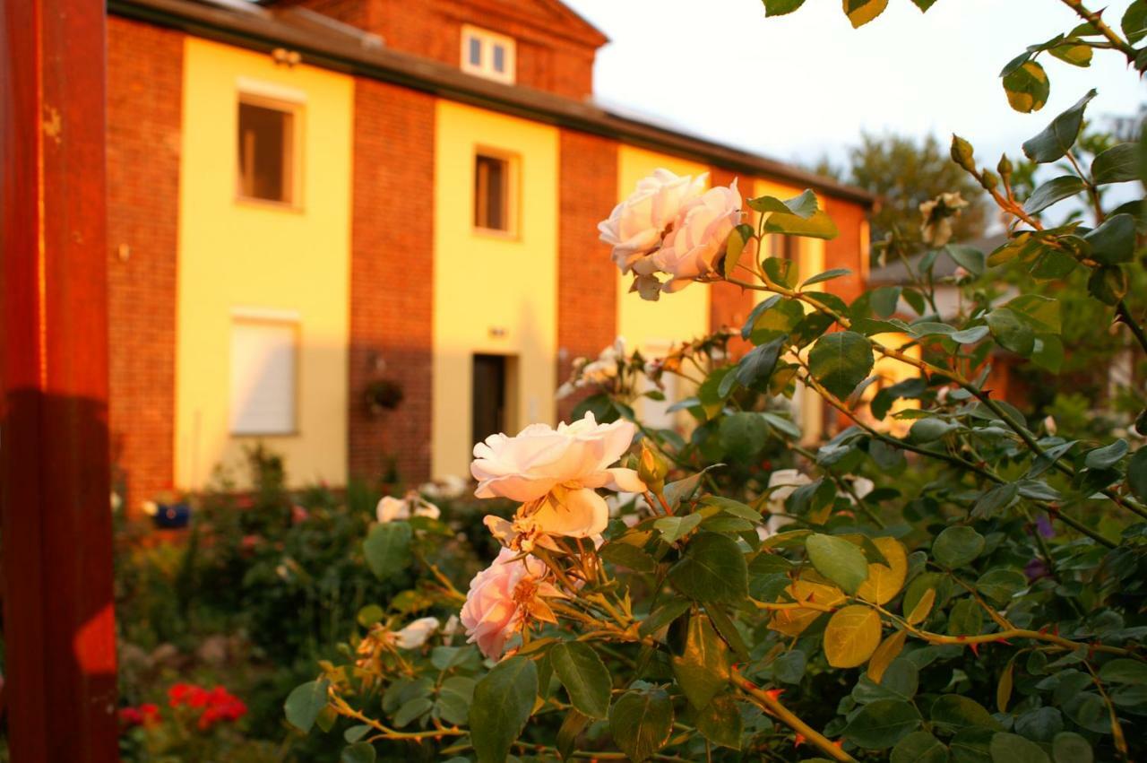 Ferienwohnungen Amselweg Brandenburg  Bagian luar foto